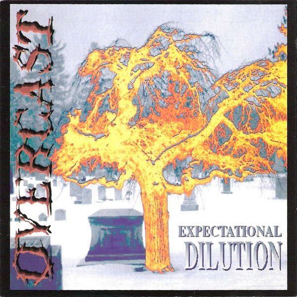 Expectational Dilution