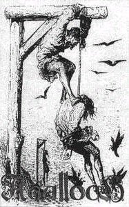 From Which of This Oak