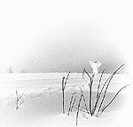 In frostigen Tälern