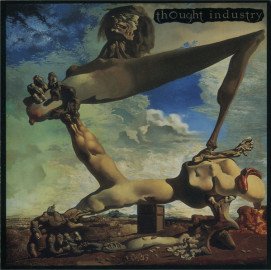 Songs for Insects